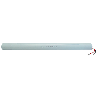 Batteria ricaricabile NiCd D4000mAh 2.4V 0.1C Carica standard