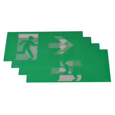 bianco adatto rapido 4W 60lm EGS4QLiA del contenitore di uscita di Ion Battery Emergency Light LED del litio 60Hz