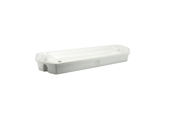 IP65 1,5-3W luci di emergenza a LED per paratie AC 220V Materiale ABS
