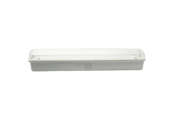 IP65 1,5-3W luci di emergenza a LED per paratie AC 220V Materiale ABS