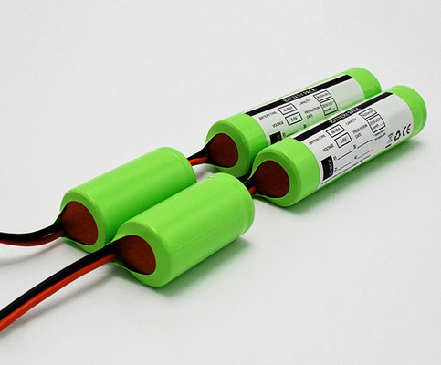 Batteria ricaricabile C4000mAh 3.6V di NiMH