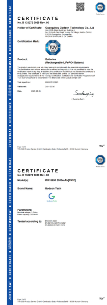 La CINA Godson Technology Co., Ltd Certificazioni