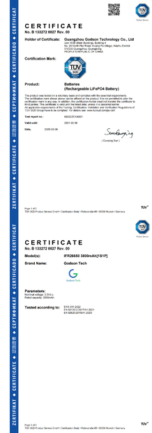 La CINA Godson Technology Co., Ltd Certificazioni