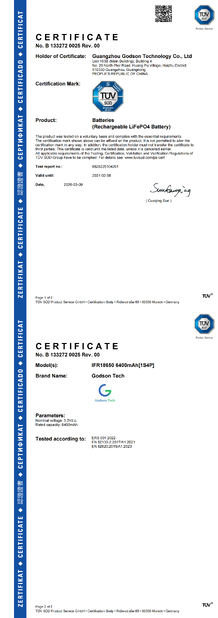 La CINA Godson Technology Co., Ltd Certificazioni